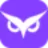 Owlity logo